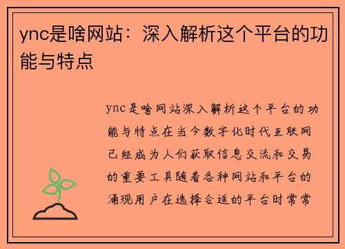 ync是啥网站：深入解析这个平台的功能与特点